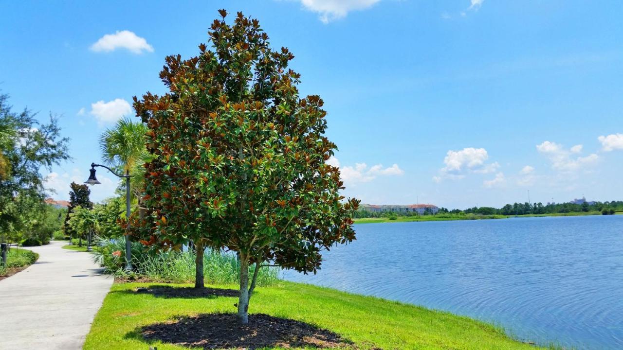 Updated Vista Cay Townhome, 10 Min From Universal 奥兰多 外观 照片